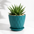 🏡 Elegant Wave Design Flower Pot – Modern Home Decor Planter